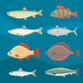 Isolated river fish. Set of freshwater sea cartoon fishes. Fauna ocean vector illustration Royalty Free Stock Photo