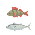 Isolated river fish. Set of freshwater sea cartoon fishes. Fauna ocean vector illustration