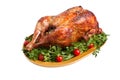 Isolated roasted turkey