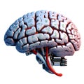 Isolated Robotic Brain with Engine Components in white background