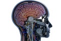 Isolated Robotic Brain with Engine Components in white background