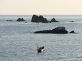 Isolated rocks lying in the sea in front of the cliff at Lizard Point in Cornwall at sunset Royalty Free Stock Photo