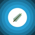 Isolated Rosemary Flat Icon. Spruce Leaves Vector Element Can Be Used For Rosemary, Spruce, Leaves Design Concept.