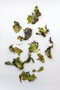 Isolated rotten lettuce on white background