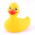 Isolated Rubber Duckie