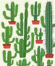 Isolated Saguaro Cactus Set. Vector illustration. generative AI Royalty Free Stock Photo