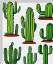 Isolated Saguaro Cactus Set. Vector illustration. generative AI Royalty Free Stock Photo