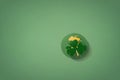 Isolated saint patricks day icon on a green background