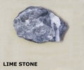 Isolated sample of a Lime Stone rock on texture background. Lime Stone Sedimentary Rock sample. Limestone rock isolated Royalty Free Stock Photo