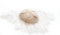 Isolated Sand dollar and sand Royalty Free Stock Photo