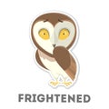 Isolated scared owl. Royalty Free Stock Photo