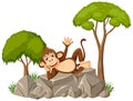 Isolated scene with cute monkey laying on stone Royalty Free Stock Photo