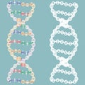 Isolated seamless DNA. Royalty Free Stock Photo