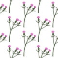 Isolated seamless pattern with burdock branches ornament. Pink flowers on white backhround. Minimalistic floral artwork Royalty Free Stock Photo