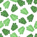 Isolated seamless pattern with random green palm leaf monstera shapes. White background Royalty Free Stock Photo