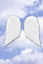 Isolated Separated Angel Wings Royalty Free Stock Photo