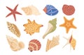 Isolated set of colorful conch and seashells different form, shape, beautiful underwater sea star Royalty Free Stock Photo