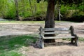 Shaded Park Bench in Spring Royalty Free Stock Photo