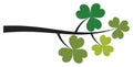 Isolated Shamrock Branch. Vector St. Patrick Shamrock