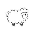 Isolated Sheep Belen draw vector illustration