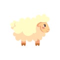Isolated Sheep Belen vector illustration