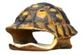 Isolated shell of tortoise Royalty Free Stock Photo