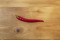 Isolated shiny red hot chilli pepper from the organic biological vegetable garden farm on a natural wooden table top from above