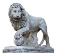 Isolated shoot for old green colored renaissance lion figure mythology sculpture in florence