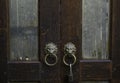 Brass lion heads door handles with lock