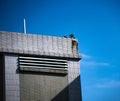 a bird on top of a building under a blue sky Royalty Free Stock Photo