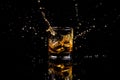 Isolated shot of whiskey with splash on black background Royalty Free Stock Photo