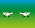 Isolated silhouette of couple geese on green background. Vector illustration Royalty Free Stock Photo