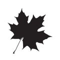 Isolated fall leaf silhouette