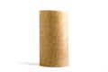 Isolated single cardboard paper tube on white background. Close-up of empty toilet roll Royalty Free Stock Photo