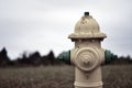 Isolated Single Fire Hydrant Neutral Coloring