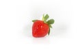 Isolated single juicy red strawberry fruit on white background Royalty Free Stock Photo