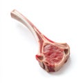 Isolated Single Lamb Chop on White Background for Culinary Use Royalty Free Stock Photo