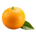 Isolated single orange fruit
