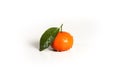 Isolated single orange mandarin fruit with a leaf on white backdrop Royalty Free Stock Photo