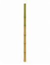 Isolated Single Tall Bamboo Stick with Green and Yellow Sections on White Background Royalty Free Stock Photo