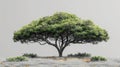 Isolated Single Tree with Clipping Path and Alpha Channel on Picture Background - Large Image for Artwork and Print Royalty Free Stock Photo