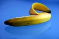 Isolated single yellow banana half peeled on refcectve blue color glass with reflections