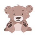 Isolated sitting baby bear on white background, vector