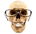 Isolated Skeleton with eyeglasses