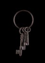 Isolated Skeleton Keys