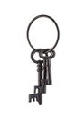 Isolated Skeleton Keys