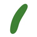 Isolated sketch of a pickle icon Flat design Vector