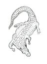 Isolated sketch on white background. Reptiles. Hand drawings of crocodiles