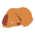 Isolated sleeping dog Domestic animal Vector