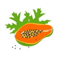 Isolated slice orange papaya with leaves